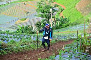 BIB: 
                            <button type="button" onclick="openModal(13382929)" class="btn btn-primary btn-sm float-right btn-popup" data-toggle="modal" data-target=".modal-high-quality">
                        <i class="fas fa-shopping-cart"></i> Add to Cart
                    </button>
                                            <button type="button" onclick="isThisMe(13382929, true)" class="btn btn-success btn-sm float-right btn-popup btn-isme hidden" data-toggle="tooltip" data-placement="bottom" title="นี่คือรูปของคุณใช่ไหม คลิกที่นี่เพื่อเอาเข้าอัลบั้ม">
                        <i class="fas fa-plus"></i> Add to album
                    </button>
                    <button type="button" onclick="isThisMe(13382929, false)" class="btn btn-warning btn-sm float-right btn-popup btn-isnotme hidden">
                        <i class="fas fa-ban"></i> Remove from album
                    </button>